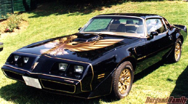 T/A Black and Gold 1979